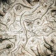 Wood Abstract 1