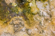 Hot Spring Abstract 3