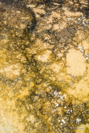 Hot Spring Abstract 1
