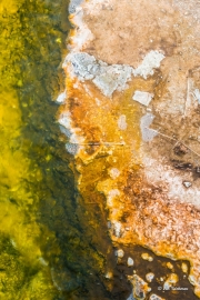 Hot Spring Abstract 2