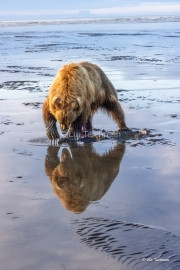 Reflection at Dawn