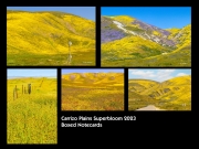 Carrizo-Plains-Superbloom