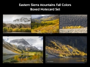 Eastern Sierras Fall  1