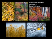 Eastern Sierras Fall 2