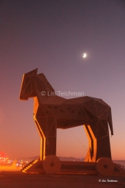 Trojan Horse, Burning Man 2011