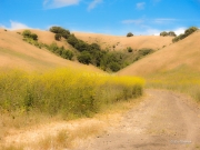 The Road into Spring