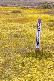 Road Closed