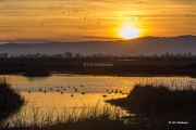 Sacramento Basin Sunset 2