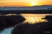 Sacramento Basin Sunset