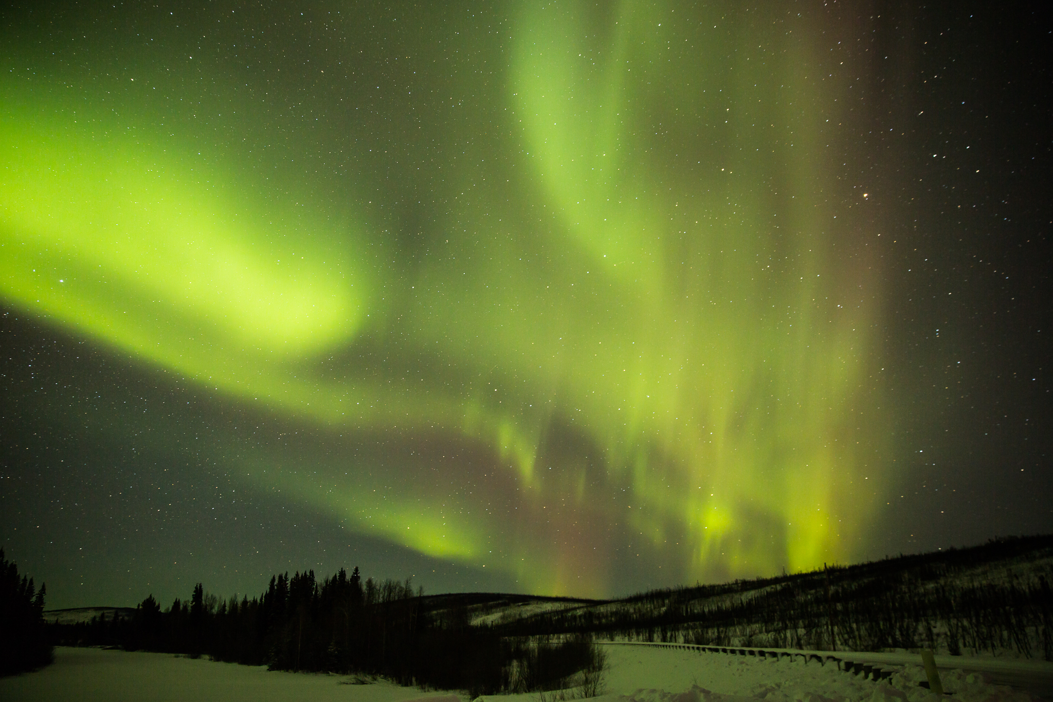 Aurora Night in Fairbanks